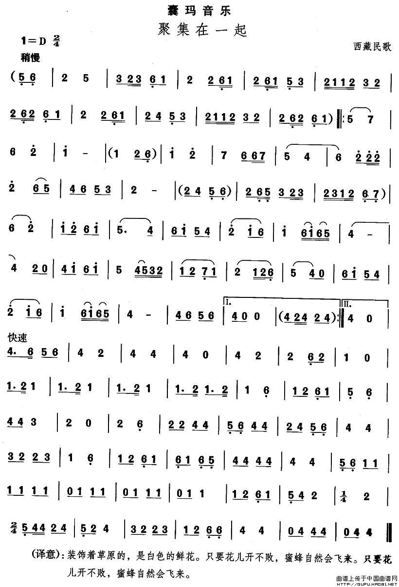 歌曲藏族舞蹈:聚集在一起的简谱歌谱下载