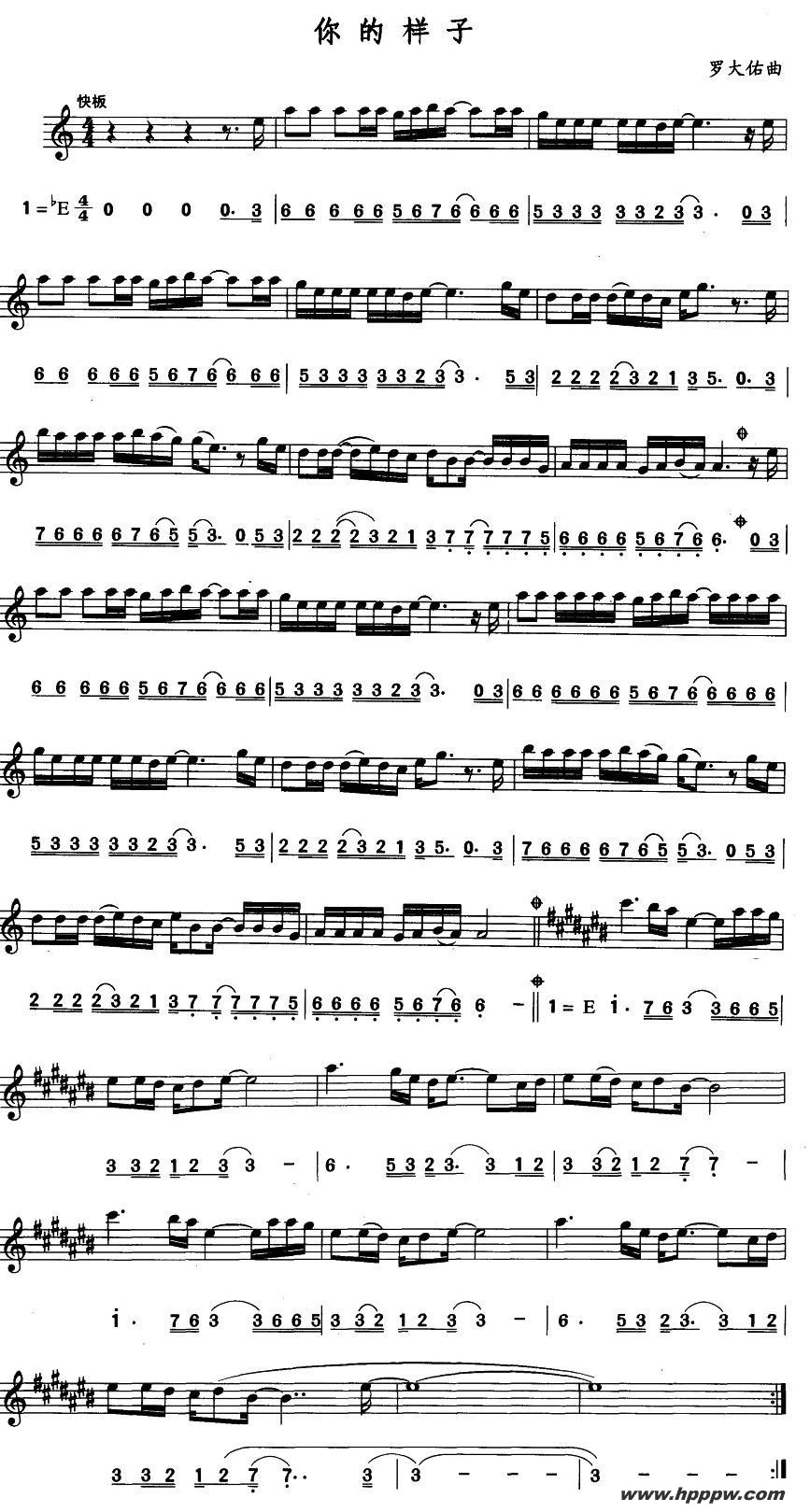 歌曲你的样子的简谱歌谱下载