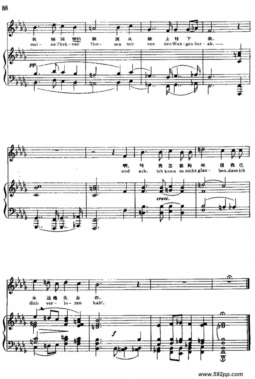 歌曲她的肖像的简谱歌谱下载