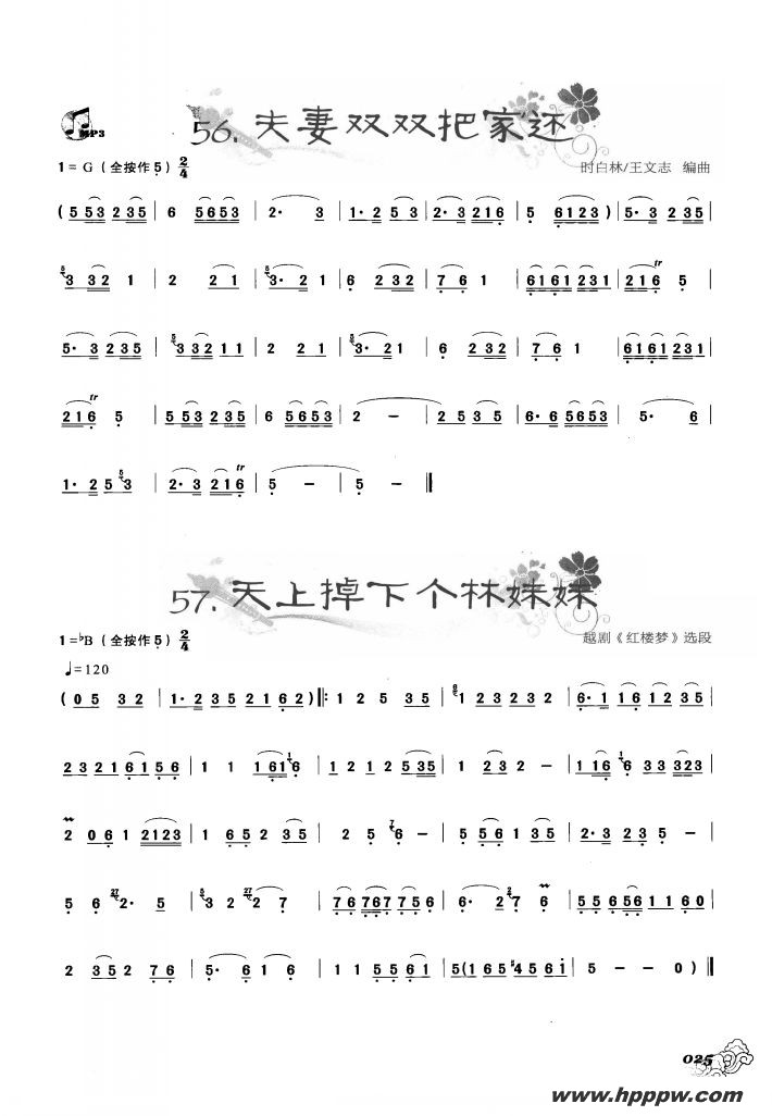 «˿ѡ˫˫Ѽһ ϵ¸õļ׸