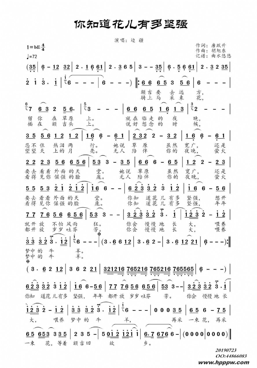 歌曲你知道花儿有多坚强的简谱歌谱下载