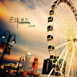 去年夏天-王大毛 去年夏天-王大毛