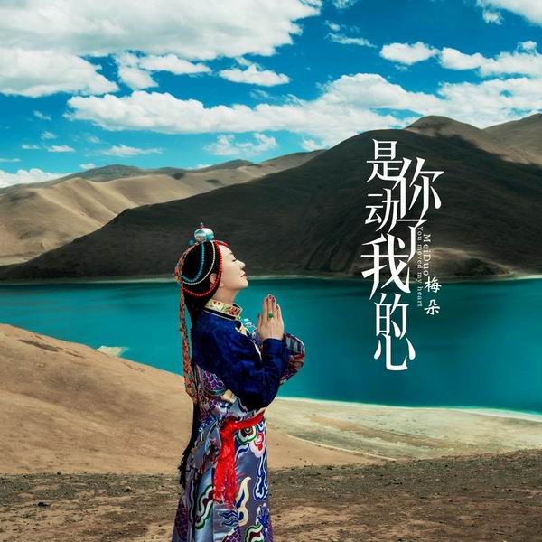是你动了我的心-梅朵 是你动了我的心-梅朵