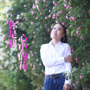 你是我心中的花-雨中百合 你是我心中的花-雨中百合