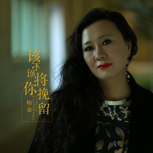 该不该将你挽留-梅朵 该不该将你挽留-梅朵